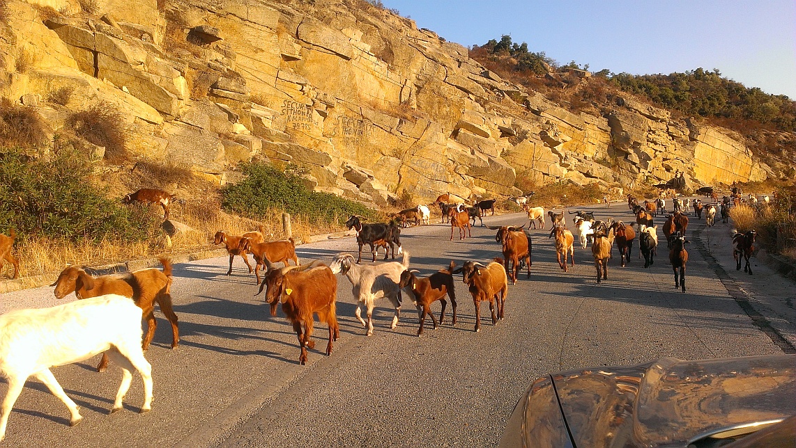 Chalkidiki 2013